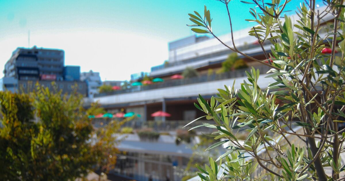 代官山Tサイトのおしゃれな屋外テラスと植物